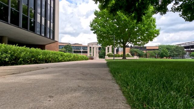 Sidewalk View Across Campus Quad. Ground-level shot looking across a grassy quad toward university buildings and colonnade with grass moving in breeze. Captured at University of Illinois Springfield.