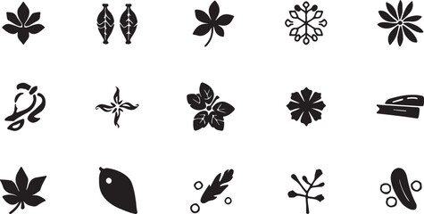 Fototapeta premium Black and white floral botanical illustration set with various flowers.