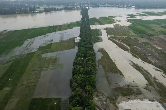 Sirajganj, Rajshahi Division, Bangladesh - 20 September 2025: Aerial view of flooded agricultural fields surrounding a long tree-lined embankment separating sections of the Jamuna River.