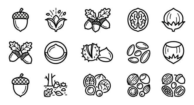 Autumn Nuts and Acorns Icon Set: Healthy Food, Organic Ingredients, Fall Harvest Collection