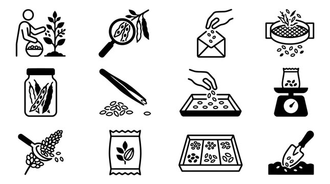 Agriculture Icons: Seed Planting, Harvesting, Sorting, and Packaging Set