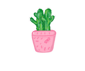 cactus in a pot © widia