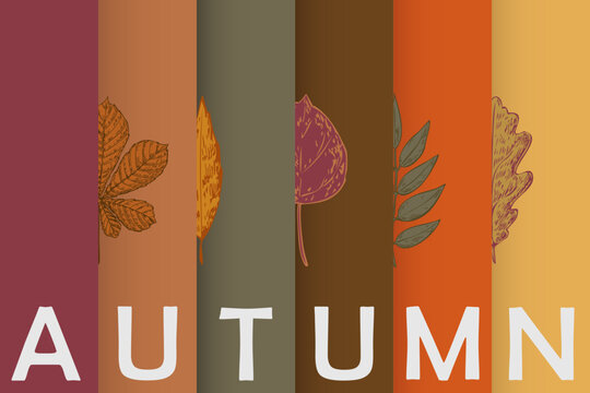 Autumn horizontal banner with hand drawn leaves and warm color palette vector. Fall background, seasonal bold typography,  for autumn sales, social media headers, website covers, and fall promotions.