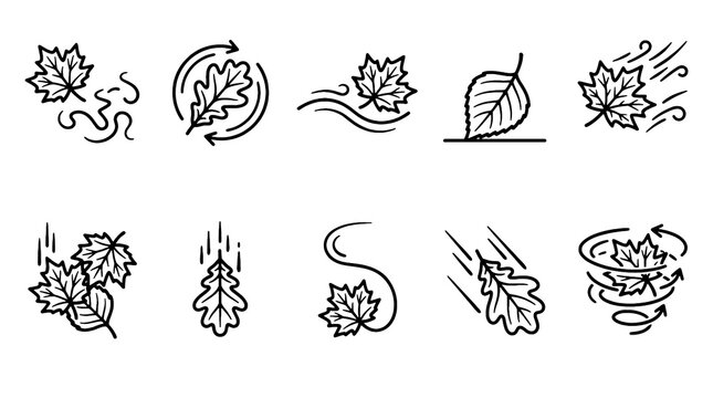 Autumn Leaves Icons Collection with Falling Maple Oak and Forest Nature Vector Set