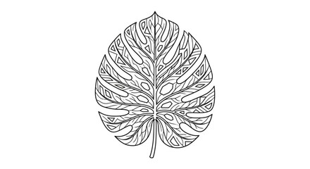 Decorative Monstera Leaf Line Art Illustration © astuti