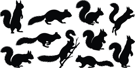 Obraz premium Collection of black squirrel silhouettes in various poses including running, standing, and jumping on white background