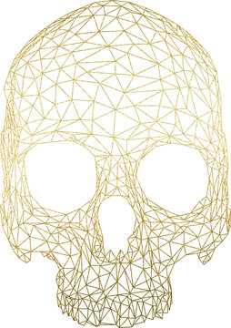 Large gold low poly skull texture with a transparent background
