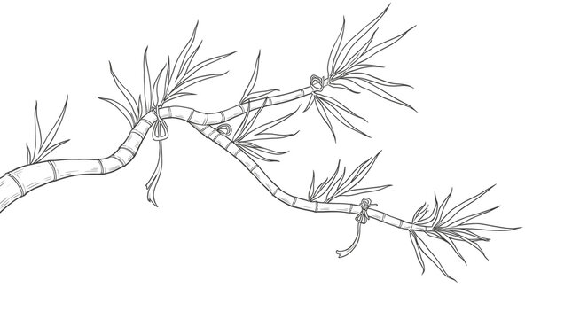 Bamboo branch with delicate leaves &mdash; serene, harmonious atmosphere of Eastern meditation and resilience