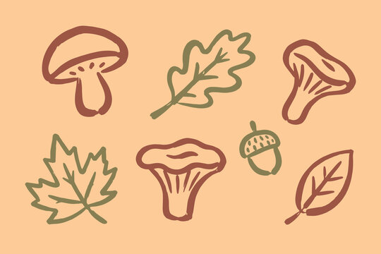 Autumn Mushrooms and Leaves Doodle Set Vector Illustration