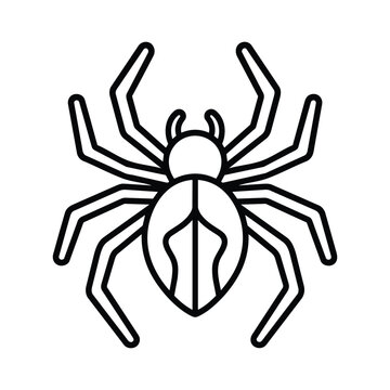A simple black and white line art illustration of a spider isolated on a plain white background