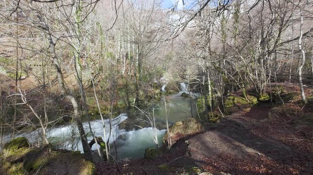 Mountain river flowing through winter forest