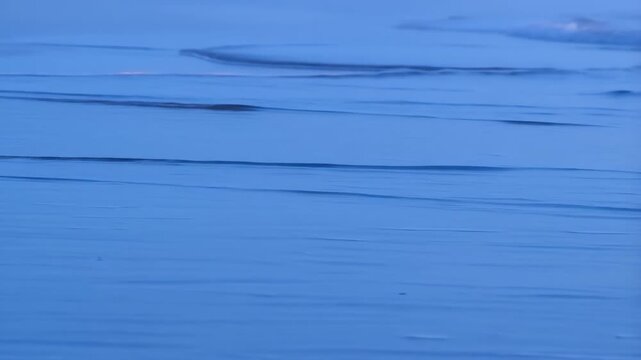 Calm coastal surf with gentle parallel swells and curving foam lines moving across shallow water under cool diffuse light over wide open shoreline, with wave, foam, water, sea detail