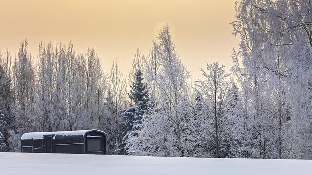 View of a modern cabin nestled in a snowy forest landscape with frost-covered trees under a soft winter sky in Latvia.