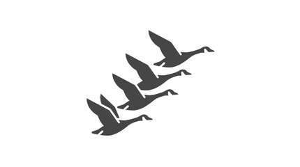 Four geese flying in formation. © Kasimun