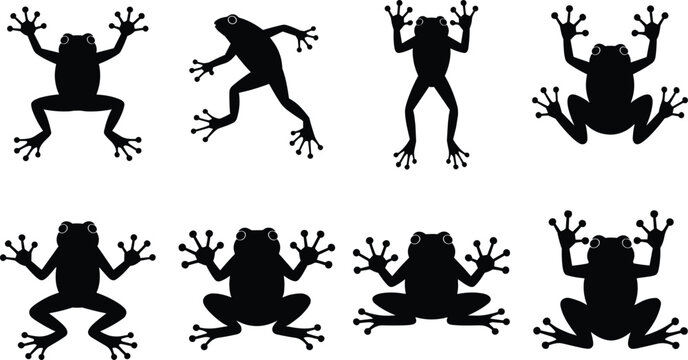 Frog Silhouette Collection Set with Tree Frog Amphibian Wildlife Vector Icons