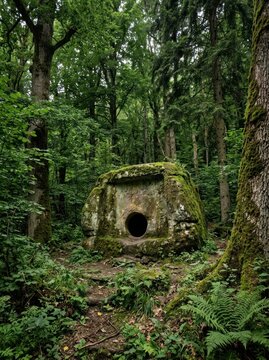 Ancient Dolmen Structure in Lush Green Forest Surrounded by Dense Foliage.