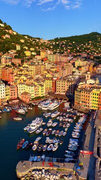 vertical video of Liguria coastal town aerial view, drone shot of Italian resort on the Mediterranean, vacation on Italian Riviera, sunset in a colorful town of Camogli