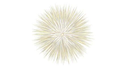Obraz premium stylized golden fireworks burst displaying intricate ornate starburst pattern and brilliant shimmering texture, isolated on seamless transparent background with copy space. concept of elegant
