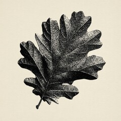 Obraz premium Black botanical leaf illustration in vintage stippled style