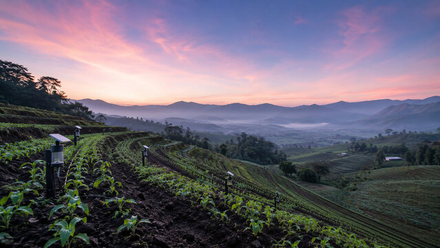 Field soil sensor network at dawn network at dawn modern commercial