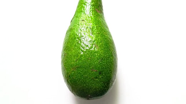 Single fresh raw green avocado Persea americana isolated on clean white background in Guatemala