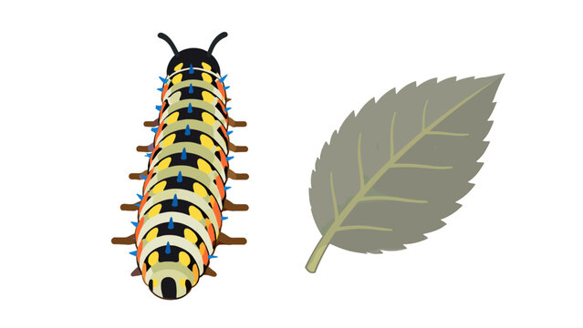 Colorful caterpillar beside a leaf in flat vector style