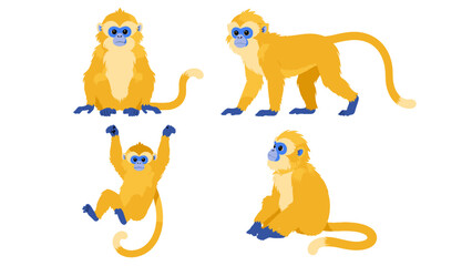 Obraz premium Golden monkey cartoon character set in multiple poses