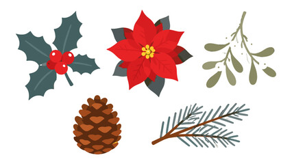 Obraz premium Christmas botanical elements set with holly poinsettia and mistletoe