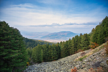 Scenic view of evergreen pine forest and rocky slope overlooking valley under cloudy sky © Goran