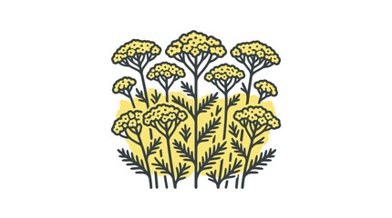 Yellow yarrow flower botanical illustration on white. © Reus