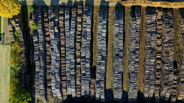 Aerial view of stacked timber logs arranged in long rows at Riga Port in Riga, Latvia.