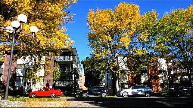 Bright clear blue sky towers over residential buildings framed by vibrant golden autumn trees, parked cars line quiet sunlit street, warm calm urban fall scene