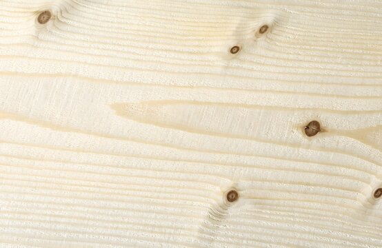Pine beige knotty wood grain texture close up