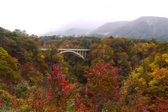 Overlooking the Ofukazawa Bridge. Japan's famous scenic spot "Ofukazawa Bridge" in Naruko Gorge.