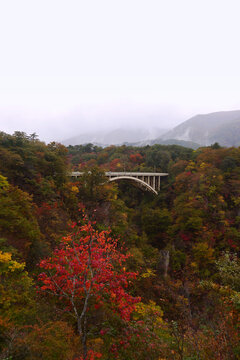 Overlooking the Ofukazawa Bridge. Japan's famous scenic spot "Ofukazawa Bridge" in Naruko Gorge.