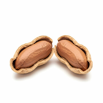 Two organic roasted peanuts resting inside their broken crunchy woody shells positioned naturally to showcase the interior legume seeds for culinary cooking recipes and healthy snack food