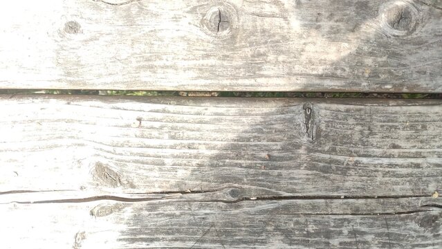 Weathered Timber Planks Horizontal grey wooden boards showing natural grain and sun bleaching for carpentry websites rustic interior posters and organic layout templates