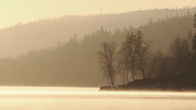 View of misty lake at sunrise with silhouetted trees along the shoreline in Vastra Gotalands lan, Sweden.