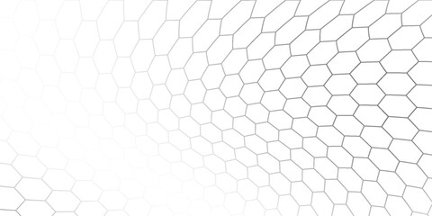 Fishing or soccer net. Repeated hexagon pattern. Black wired mesh texture isolated on white background. © muhammad