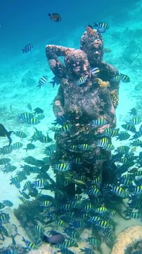 View of underwater statues surrounded by a large school of sergeant major fish in the clear ocean waters of Bali, Indonesia.