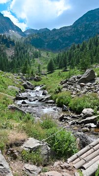Scenic alpine landscape featuring a clear mountain stream cascading over rocks through a vibrant green valley, surrounded by lush pine forests and majestic peaks under a partly cloudy sky