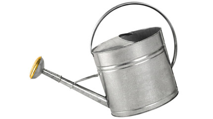 Galvanized Metal Watering Can with Brass Spout Rose © Nadira