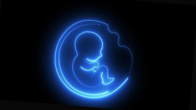 glowing neon Fetus in womb silhouette icon isolated on black background. symbolizing pregnancy medical symbol, embryo newborn life and growth. 4k video animation