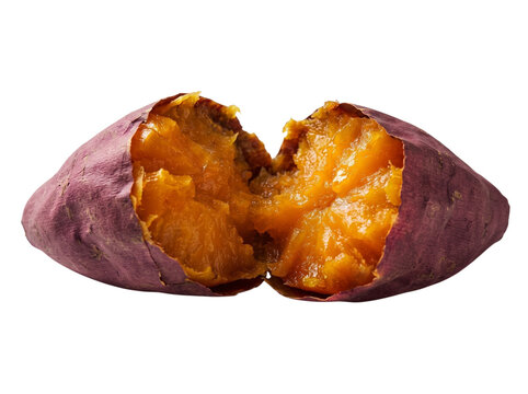 Warm baked sweet potato broken open showing juicy bright orange interior