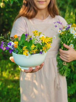 Medicinal herbs in a meadow. Selective focus.