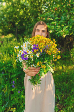 Medicinal herbs in a meadow. Selective focus.