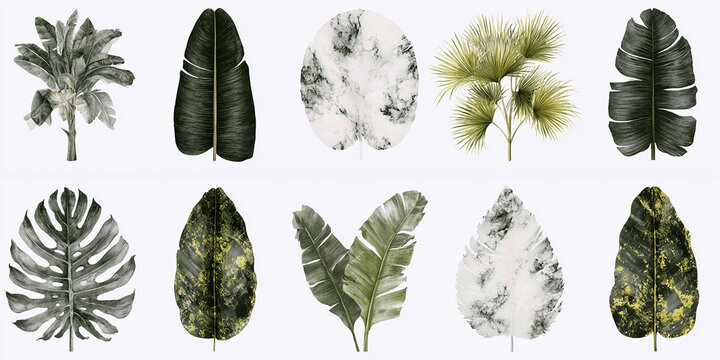 Isolated Drawn Plant On White Background Pencil Drawing Tro Isolated Drawn Plant for Digital Media and Tech...
