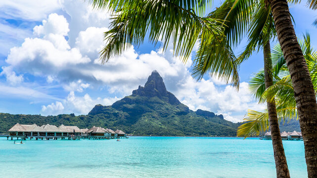 View of Mount Otemanu rising above the turquoise lagoon and overwater bungalows with palm trees in the foreground in Bora-Bora, Leeward Islands, French Polynesia.