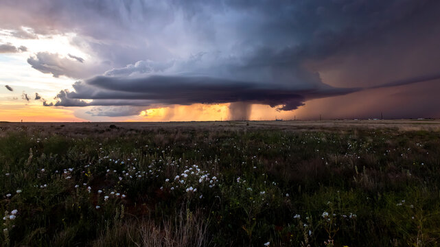 View of a dramatic supercell storm cloud with heavy rain and golden sunset light over a vast prairie landscape in Oklahoma City, Oklahoma, United States.