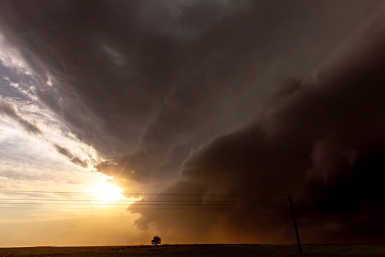 View of a dramatic supercell storm cloud formation at sunset over the flat plains with power lines and a solitary tree in the foreground in Oklahoma City, Oklahoma, United States.
